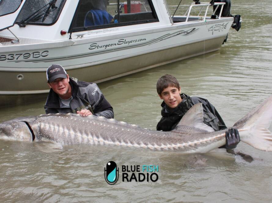 Kevin Estrada and Blue Fish Radio.