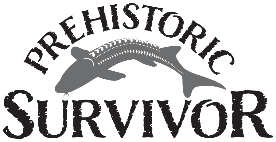 Prehistoric Survivor: The White Sturgeon