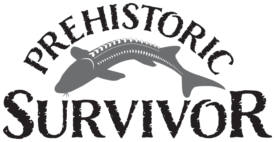 Prehistoric Survivor: The White Sturgeon